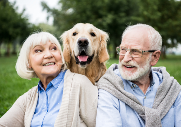 Restoring Quality of Life with Premier Caregiver Services Read more about the different Case Studies from Premier Caregiver Services.